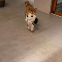 「この子と一緒に待ってたよ」