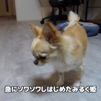 お風呂にお湯を溜め始めたら…