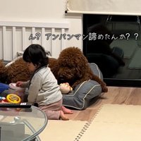 きんとん君VS男の子6