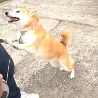 とっても嬉しそう♪