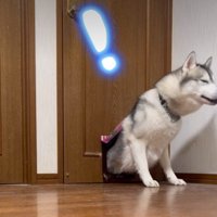 するっと抜けた！！