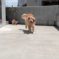 緊張から解放されて…