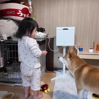 わんこのおやつが気になる…