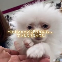 幸せにしてあげたい