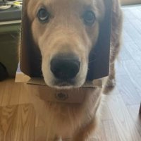 かーる君の成長記録8