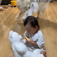 内臓を出したいこはくちゃん