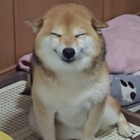 笑顔で迎えてくれました♪