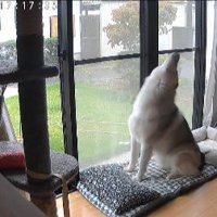「どこにいるの？」