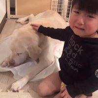 泣く男の子