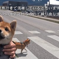 みんなで街にお出かけ♪