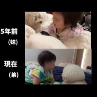 面倒見のいいぷぷちゃん