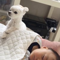 「ベッド、貸してあげてるの」