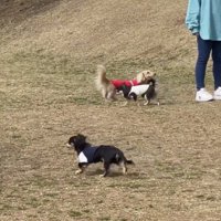 ちゃんと顔を確認中