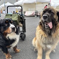 自分より大きな