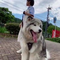 指示にも従います