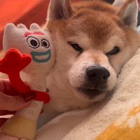 ぬいぐるみを頬にぴとっ♡