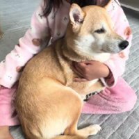 女の子に甘えるシイちゃん