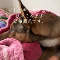 無視していたのに…
