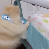 「どうしたの？大丈夫？」