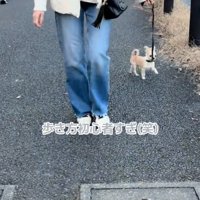 ジグザグ歩きするこはくくん