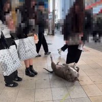 ギャップが素敵なソラちゃんでした