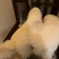 「おかえりなさい！」