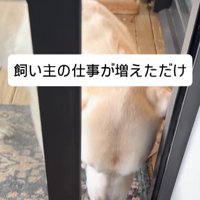 開けてもらえばいい♪