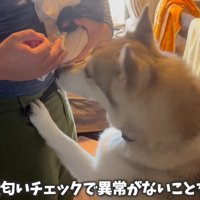 一目散に赤ちゃんを確認！