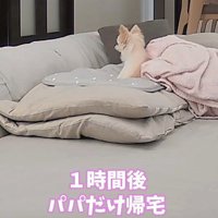 「ふたりとも帰ってきた！」
