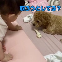 赤ちゃんがやってくると…