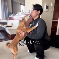 お兄ちゃんの口元を舐めるごぅちゃん