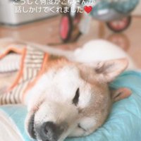 小雪ちゃん、ありがとう