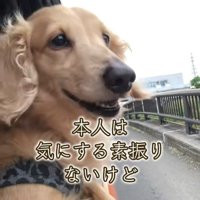 さらお君を病院に連れて行ったら5