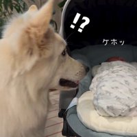 赤ちゃんが泣いた時のワンダくん8