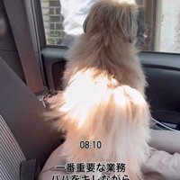 こんぶちゃんのお見送り2