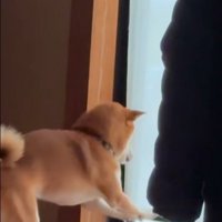 リクくんにハプニング発生5