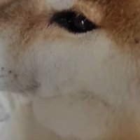 ぴったり添い寝してた