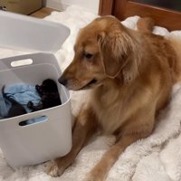 ヒナタちゃんとの交流