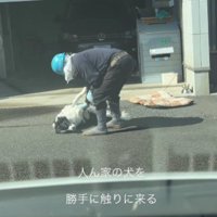 剪定職人のおじさんがやってきた