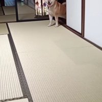 「僕がレオだよ！」