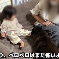 赤ちゃんの足をペロペロ