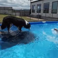 プールに入れないメルちゃん