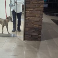 病院から出てくるりゅうさん
