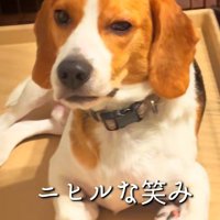 人間のようなニヒルな笑み