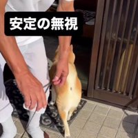 スッ…