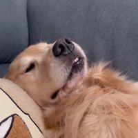 前歯が出たまま熟睡