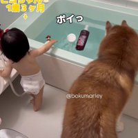 浴槽にポイポイ！！
