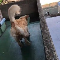 配達員さんを見つけた♡