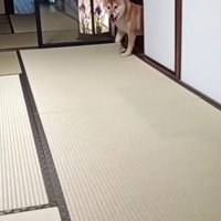 レオくんがひょっこり♪