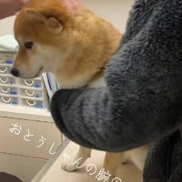 「まだかな……」